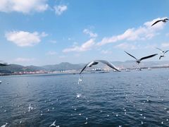 -海埂大坝