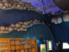 -烟台海昌鲸鲨海洋公园