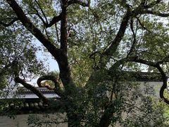-采石矶景区