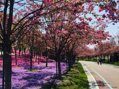 -南通洲际绿博园