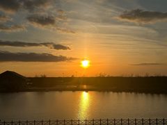 -盐城丹顶鹤湿地生态旅游区