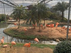 -无锡动物园·太湖欢乐园