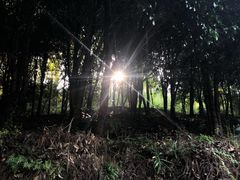 -潜山国家森林公园