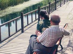-白河湾生态旅游一条川