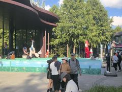 -黄海国家森林公园