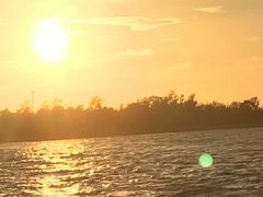 -北海金海湾红树林生态旅游区