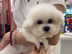 -FAELING PETS美天灵宠物(合生汇店)