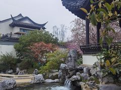 -花博汇(知音花月夜)