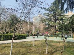 -莲湖公园
