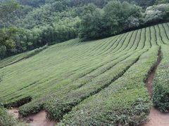 -敬亭山风景名胜区