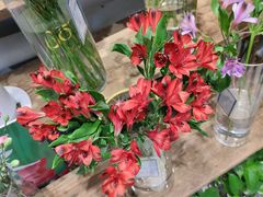 -BOBLOOM花店(宝龙旭辉广场店)