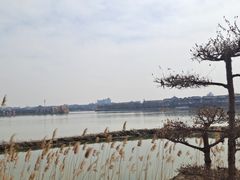 -翰园碑林