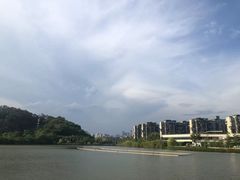 -飞凤山奥体公园