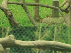 -杭州野生动物世界