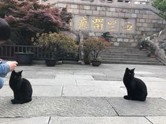 -无锡惠山寺