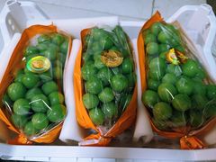 -西郊国际农产品交易中心