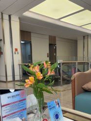 -韩辰医疗美容医院