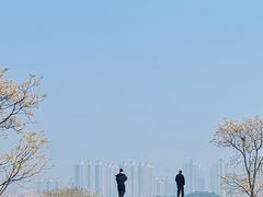 -盘龙城国家考古遗址公园