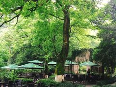 -十八棵（老龙井）御茶园(老龙井店)