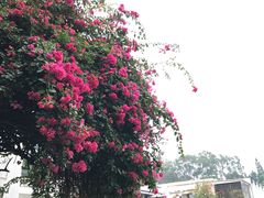 -广州市干部健康管理中心