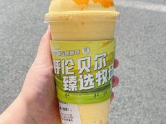 -茉酸奶(春熙路店)