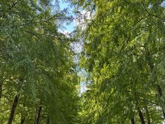 -春花秋色城市公园