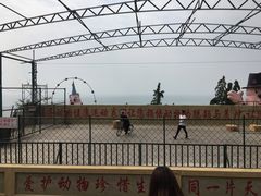 -东方熊牧场