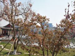 -西海子公园