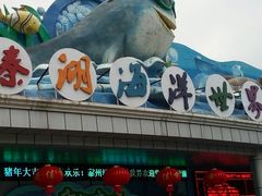 -溱湖国家湿地公园