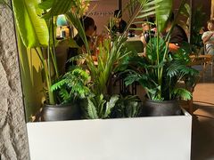 -顶顶香煎饼家常菜(金花南路店)
