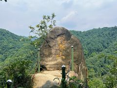 -南山植物园