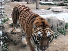 -荆州中山公园动物园