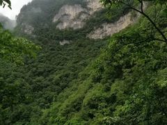 -秦岭天竺山景区