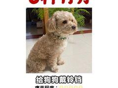 -立德动物医院·异宠·CT·鹦鹉(天河店)