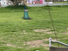 -不觉晓CAMPING(上海迪士尼营地店)