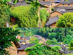 -杨家堂村