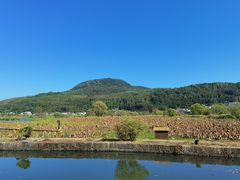 -比顿咖啡(和顺古镇店)