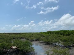 -北海金海湾红树林生态旅游区