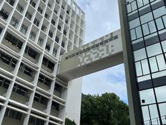-香港大学