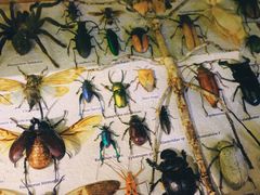 -恋物百货商店(华侨城店)