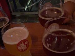 -Boxing Cat Brewery拳击猫精酿啤酒馆(永福店)