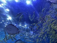 -华夏文旅海洋公园