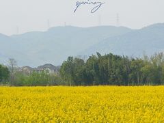-良渚古城遗址公园