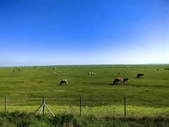 -塞罕坝国家级自然保护区