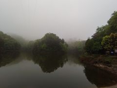 -南山植物园