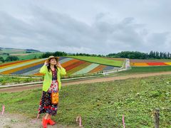 -富田农场