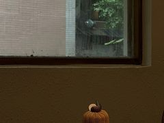 -Kekimatata 生日蛋糕·烘焙教学