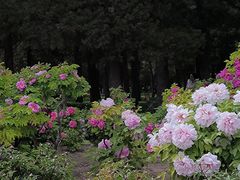 -北京市劳动人民文化宫