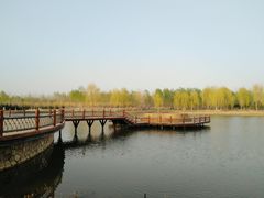 -东郊湿地公园