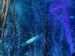 -沈阳海洋探索中心